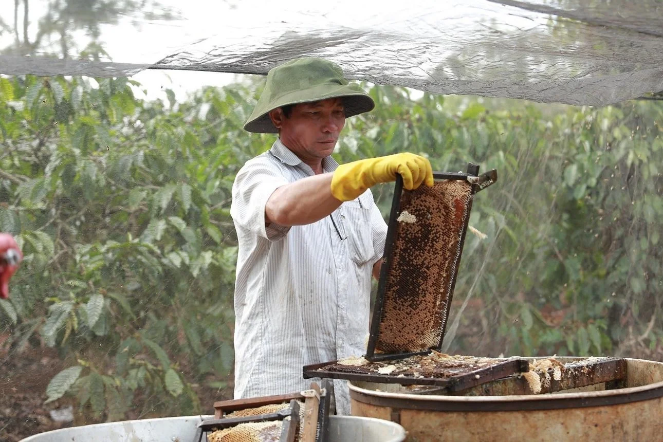 Chuyên cung cấp các sản phẩm Mật ong, bột nghệ, hà thủ ô, dầu dừa, bột tam thất bắc